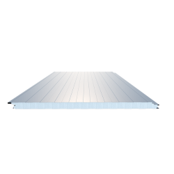 EPS Dolgulu Çatı Paneli​